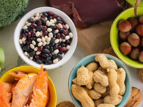 Beans, nuts and shellfish arranged in bowls, dietary protein sources